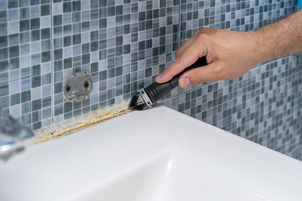 Best Emergency Mold Remediation in Leslie, MI